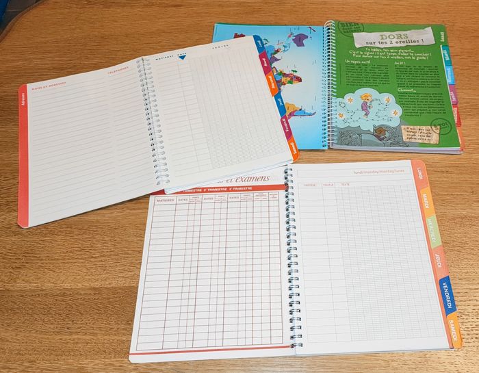🌿 Lot de 3 cahiers de texte - Neufs 🌿 - photo numéro 3