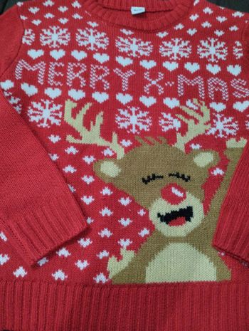 Pull noël