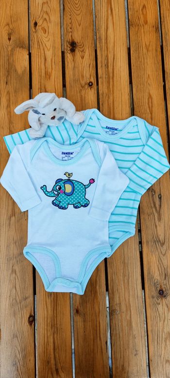 Lot de 2 bodies manches longues garçon - T. 0 à 2 mois