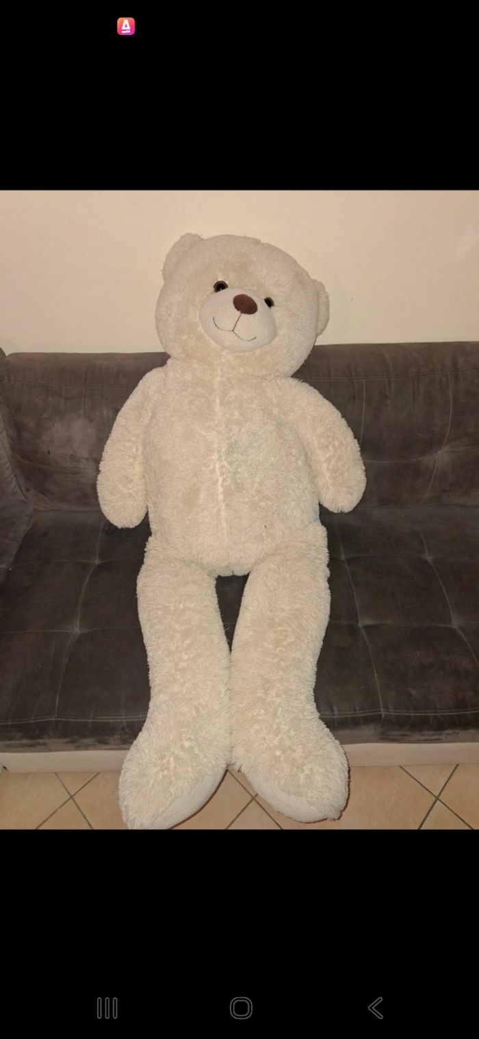 Ours en peluche géant