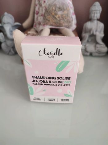 Shampoing solide