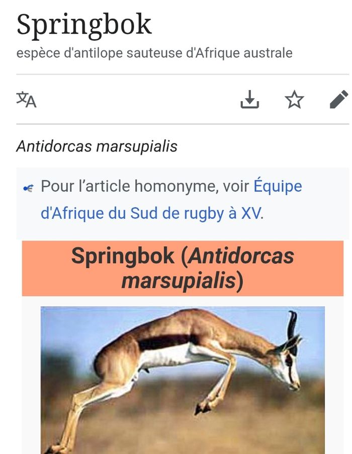 Pochette cuir - photo numéro 8