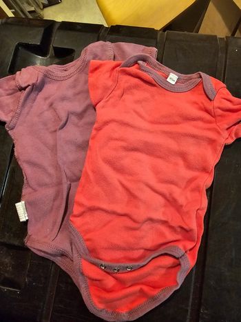 Lot body manche courte