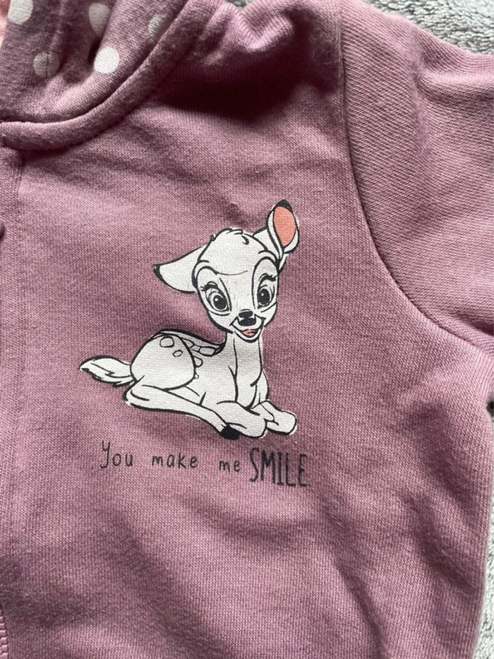 Sweat à capuche, 6 mois - photo numéro 2