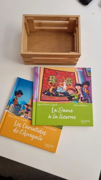Lot de 2 livres McDonald's neuf