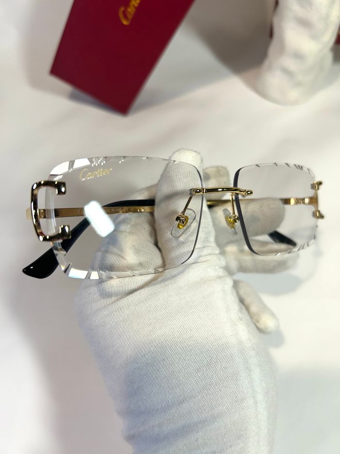 Lunette 4 saisons Cartier ❄️🍂🍃☀️ - photo numéro 5