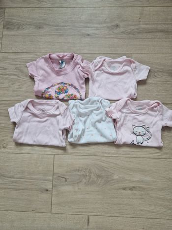 Lot de 5 bodies manches courtes 3 mois