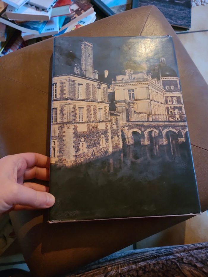 Les plus beaux Chateaux de la loire - photo numéro 3