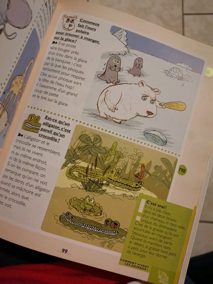 Mon premier Larousse des comment? - photo numéro 4