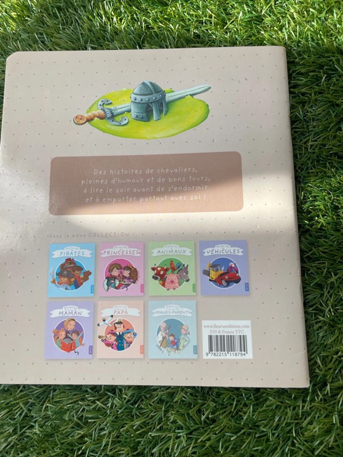 Histoires de chevaliers - photo numéro 2