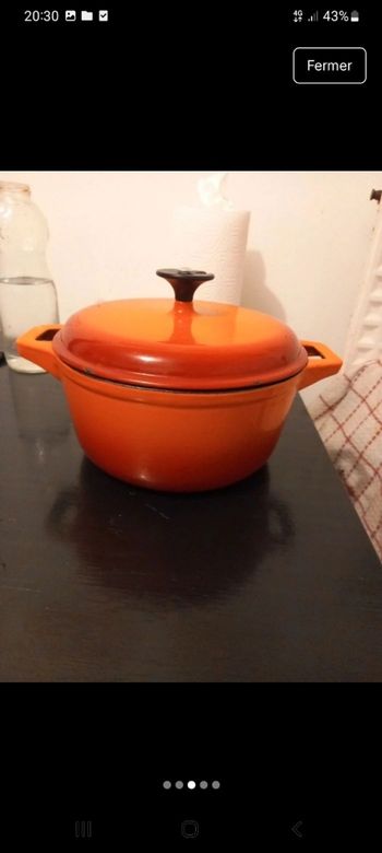 Cocotte fonte