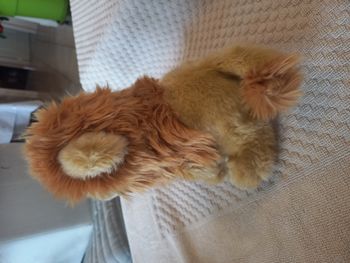 🦁 Peluche Playkids – Lion