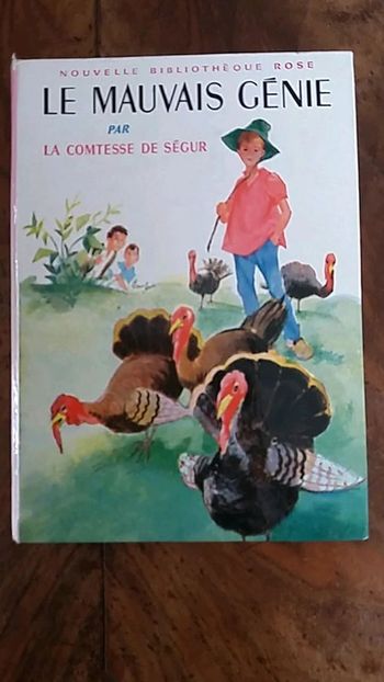 Livre le mauvais génie
