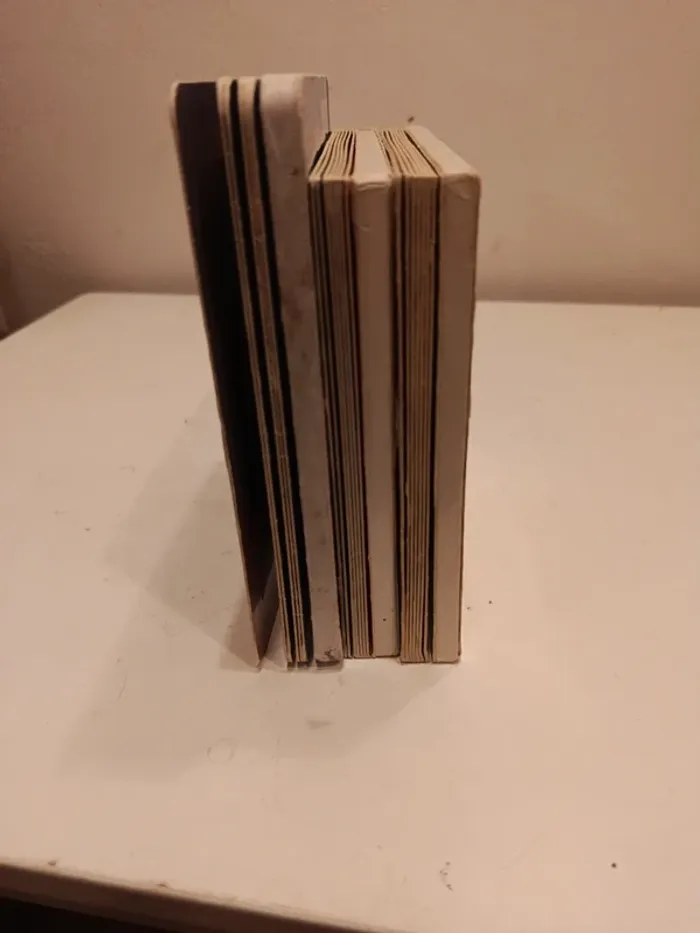 Lot de 3 livres sonores 4/5 pastilles fonctionnent - photo numéro 13