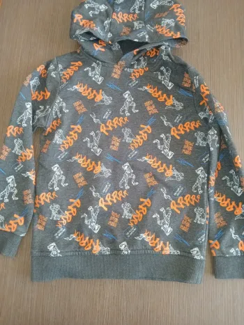 Sweat a capuche dinosaure garçon 8 ans