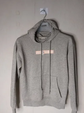 Sweat-shirt avec capuche gris " Disney"