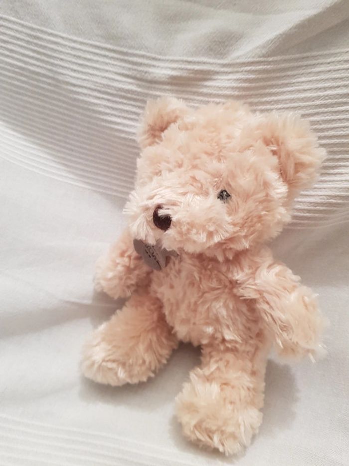 Ourson Histoire d'ours - photo numéro 2