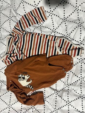 Bodies orchestra 6mois