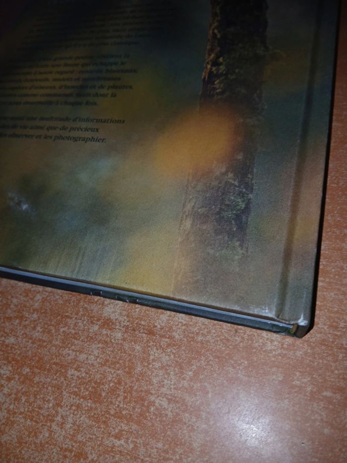 La nature à 200m de chez moi - photo numéro 4