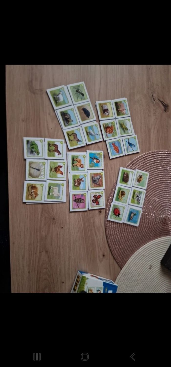 Loto les animaux familiers - photo numéro 4