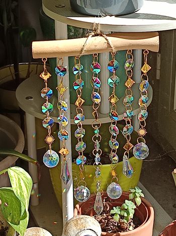 Attrape soleil pampilles 