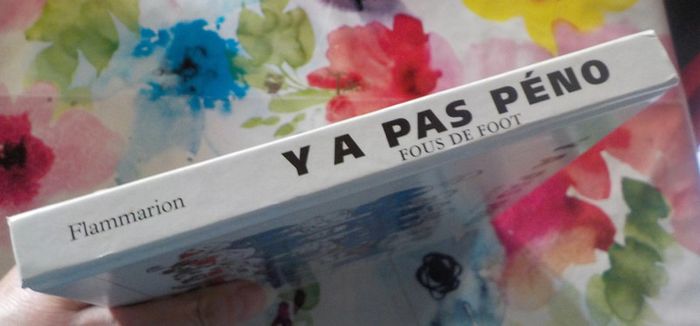 Y a pas péno Fous de foot Ed. Flammarion - photo numéro 3