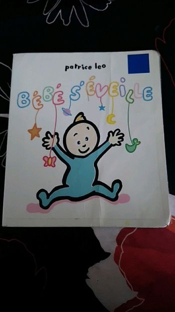 Livre pour enfants Bébé s'éveille