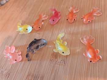 Lot poissons