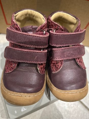 Chaussures bordeaux Aster