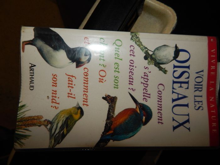 Voir les oiseaux - photo numéro 1
