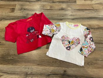 Lot 2 tee-shirts 9 mois