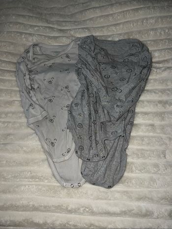 Bodies