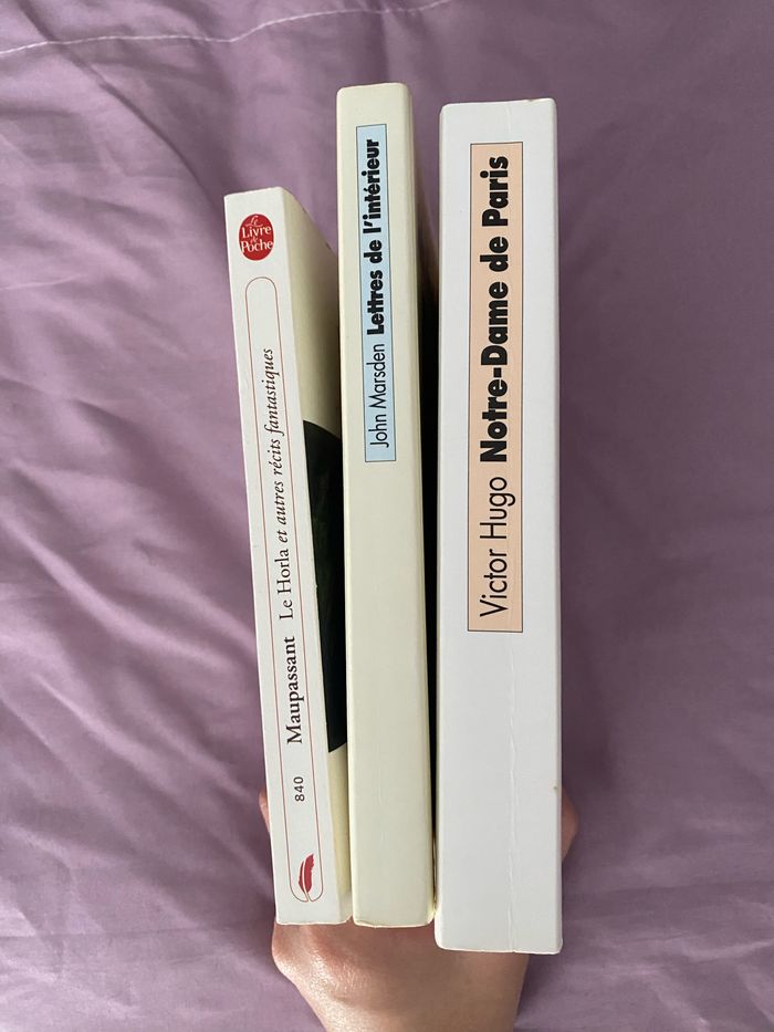 Lot 3 livres - photo numéro 4