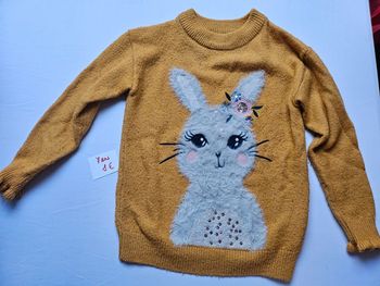 Pull Lapin