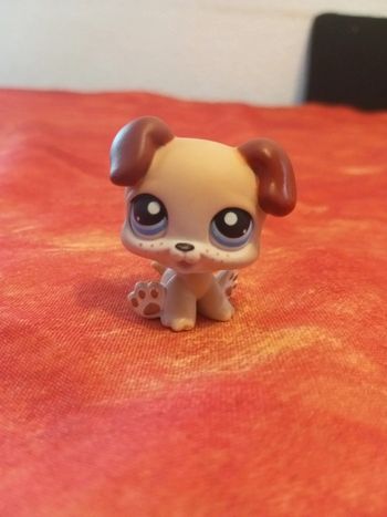 Bébé chien lps pet shop 143