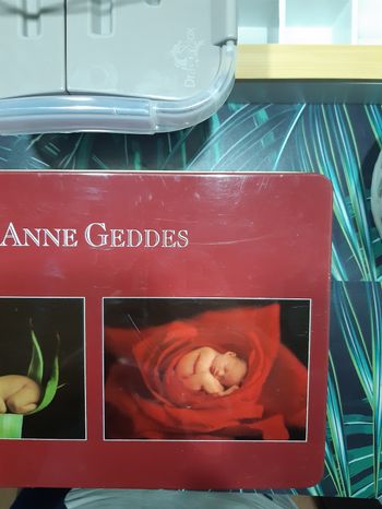 Puzzle anne geddes