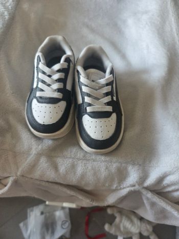 Basket puma