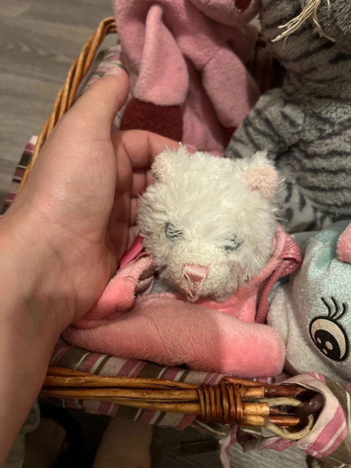 Lots de  peluche et marionnettes - photo numéro 4