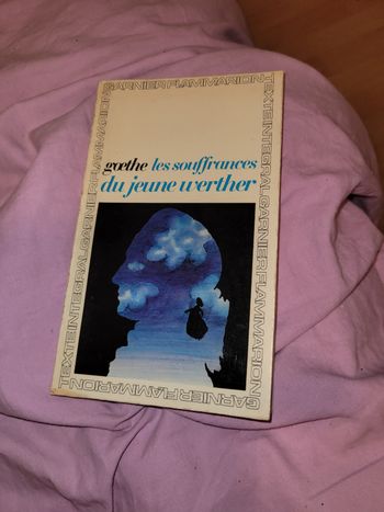 Les souffrances du jeune Werther Goethe