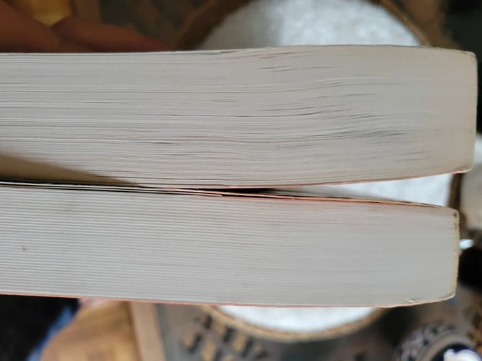 Les hommes qui n aimaient pas les femmes - photo numéro 7