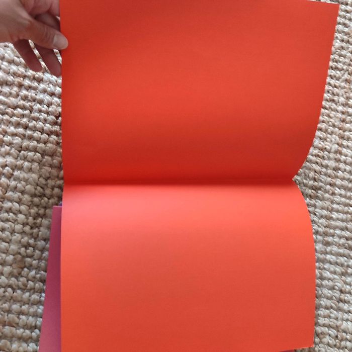 Sous-dossiers carton - photo numéro 2