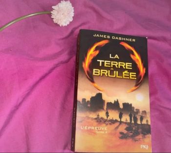 la terre brûlée