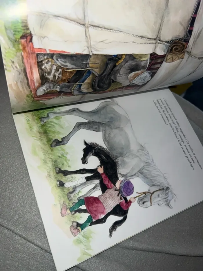 Livre mon petit cheval malabar - photo numéro 7