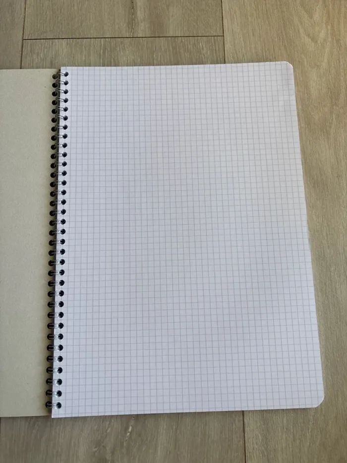 Grand cahier Conquerant - photo numéro 2