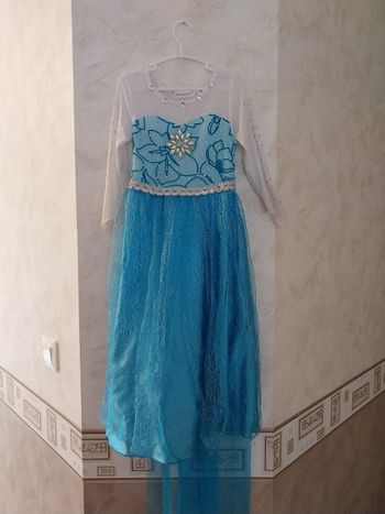 Déguisement reine des neiges