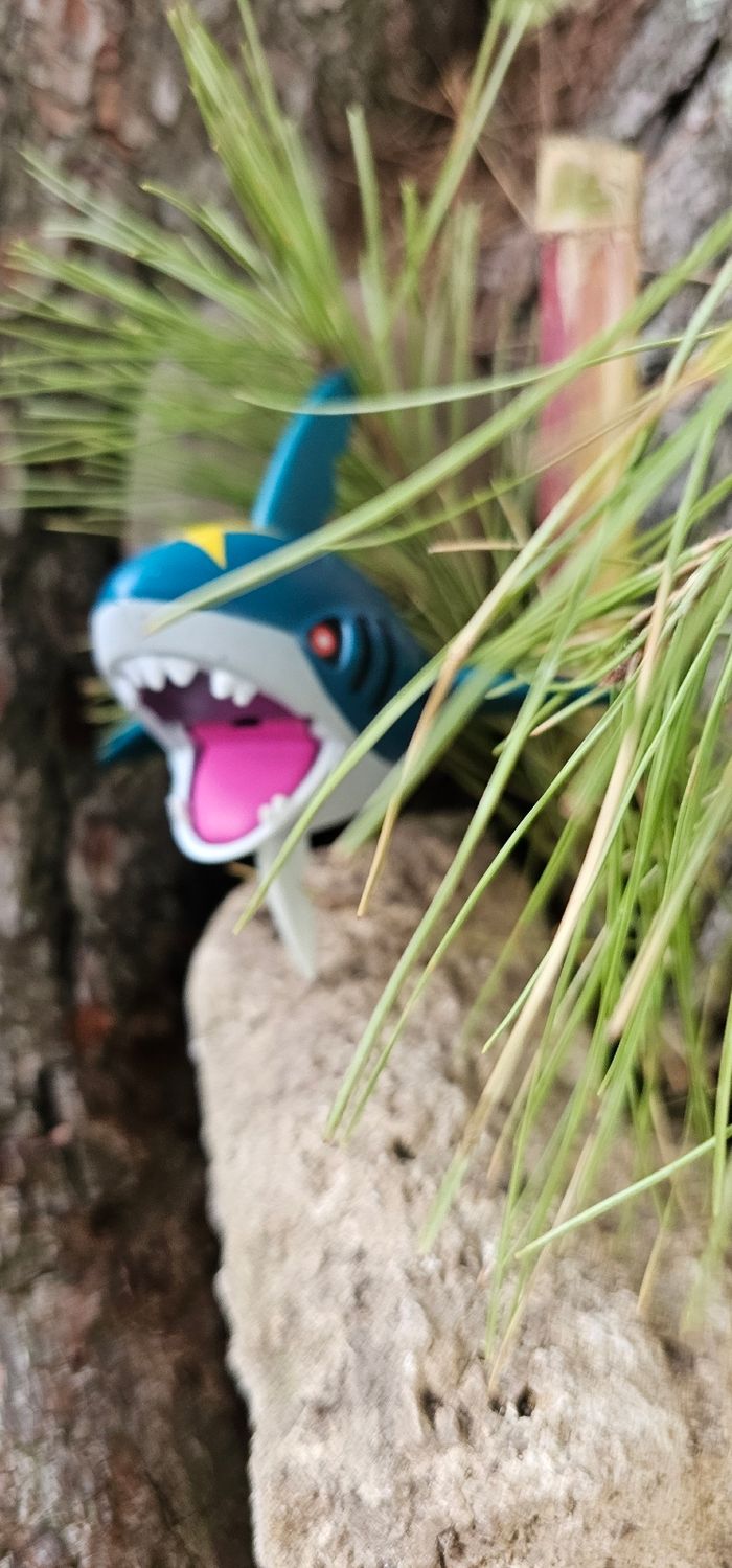 Super figurine Pokemon Nintendo Sharpedo - photo numéro 3