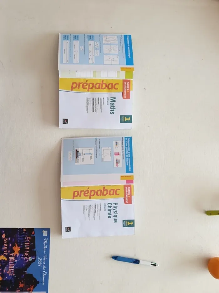 Prepabac 1ère générale. - photo numéro 2