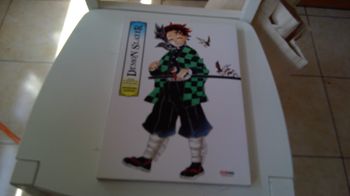 Démon Slayer (Koyoharu Gotouge)