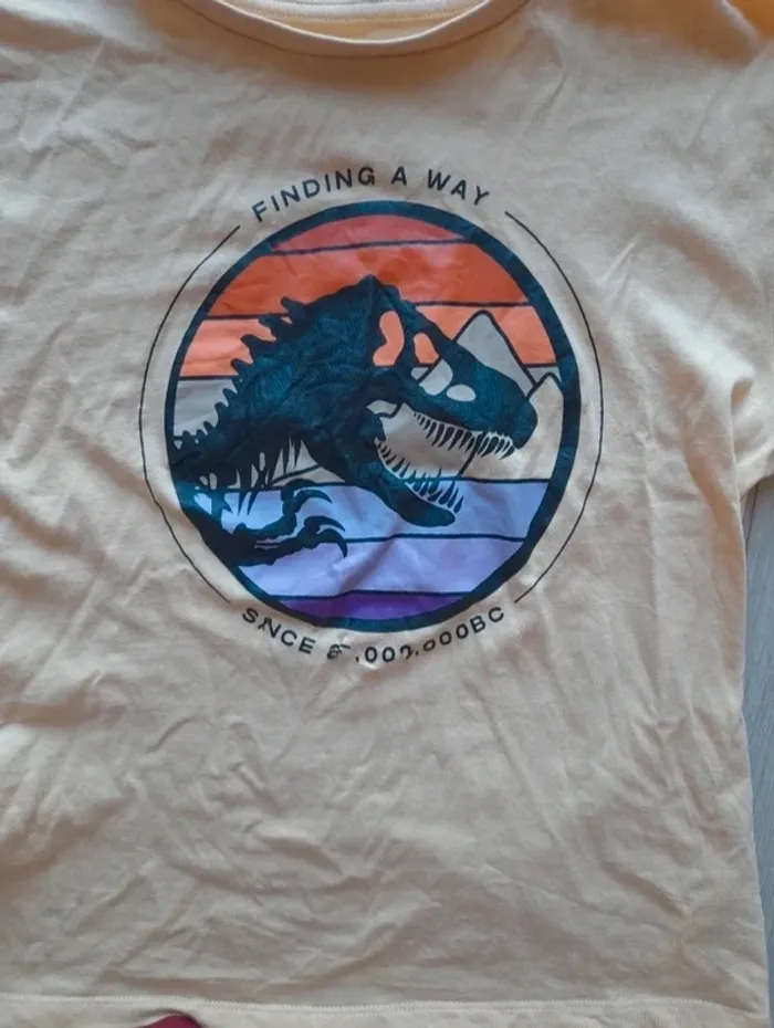 2 T.shirts 11 12 ans - photo numéro 8
