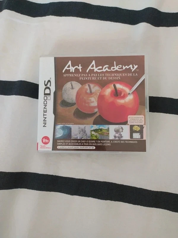 DS Art Academy